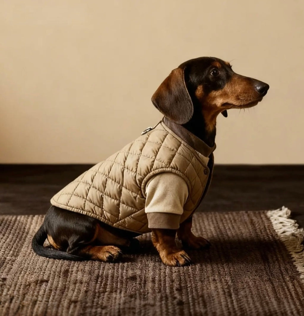 The Uptown Quilted Jacket