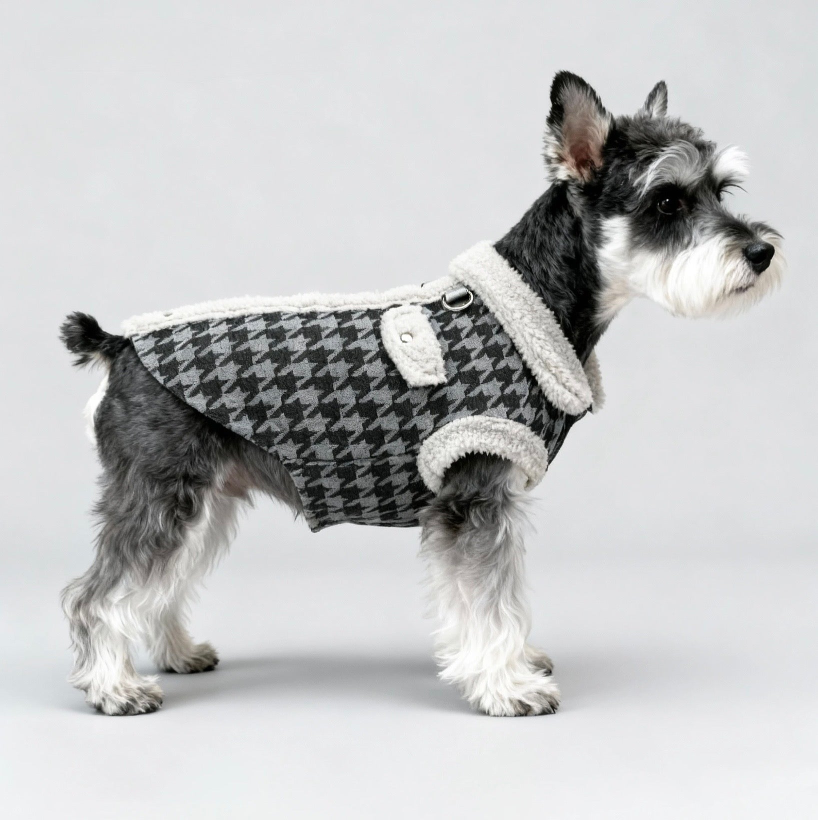 The Windsor Tweed Coat