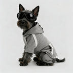 The Classic Street Hoodie