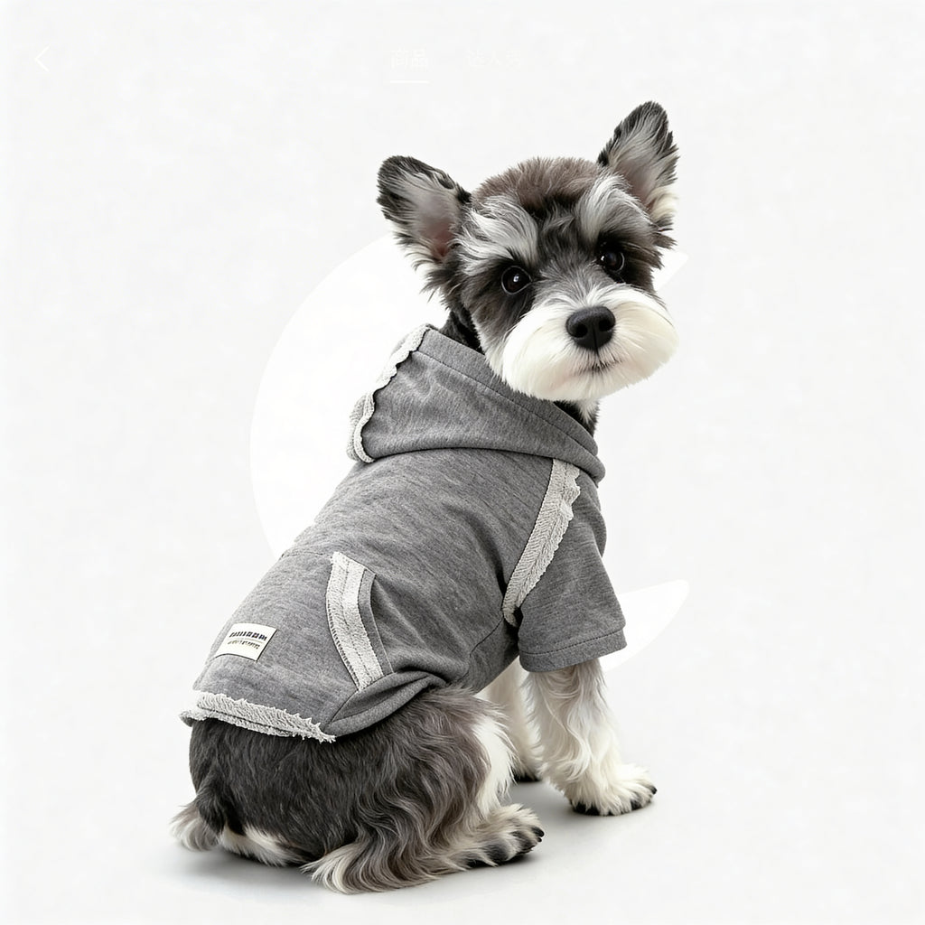 The Classic Street Hoodie