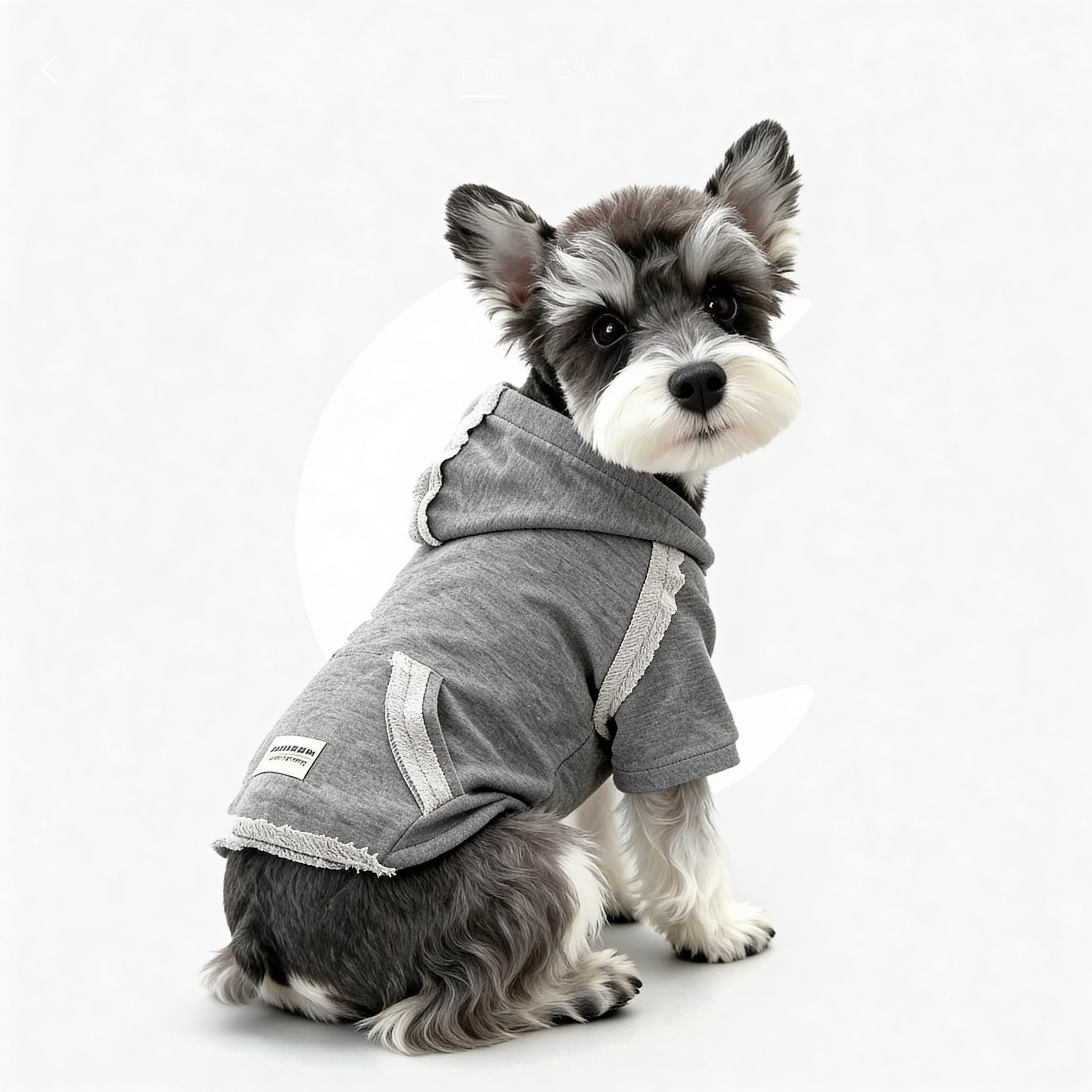 The Classic Street Hoodie