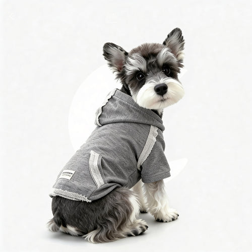 The Classic Street Hoodie