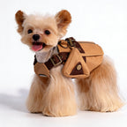 The Explorer Harness Vest